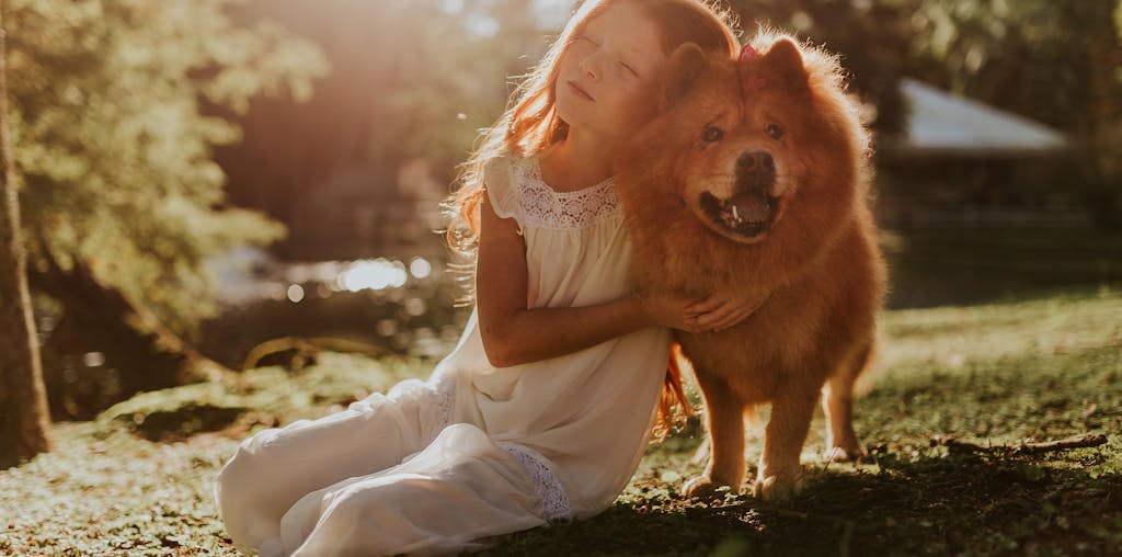 Girl Hugging Adult Chow Chow Sitting on Grass Field