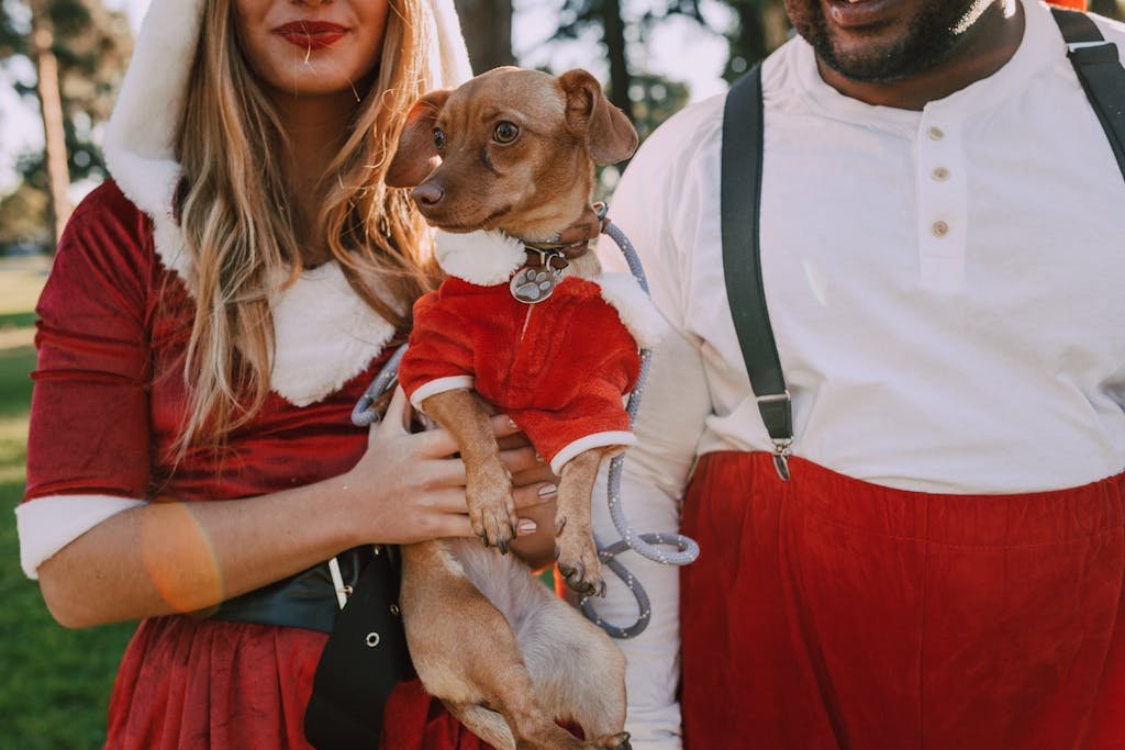 A joyful couple dressed in holiday attire holding a dog in a Santa costume outdoors.