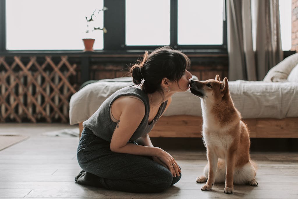 A woman affectionately kisses her Shiba Inu dog while sitting on a wooden floor indoors.