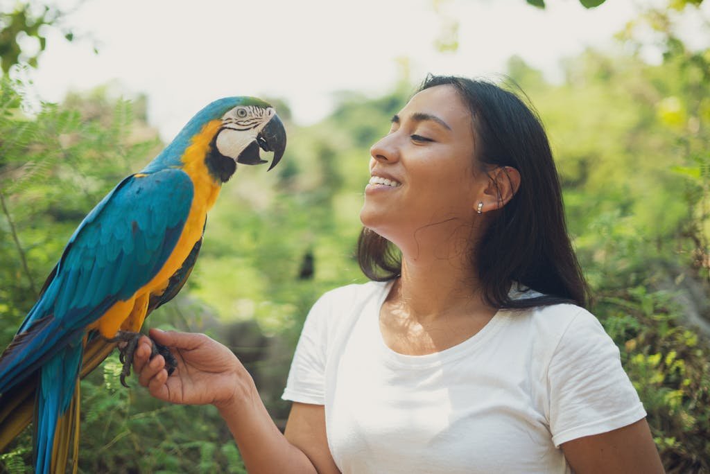 A woman lovingly interacts with a blue and gold macaw in a lush outdoor setting.