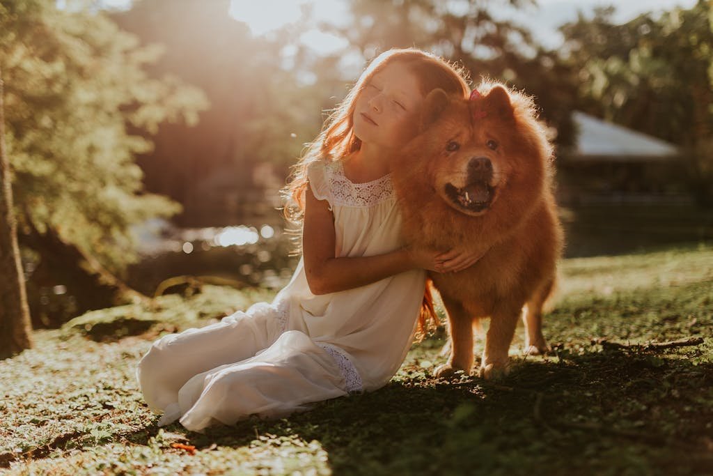 A young girl in a white dress hugging a fluffy dog during a bright summer day in the park.