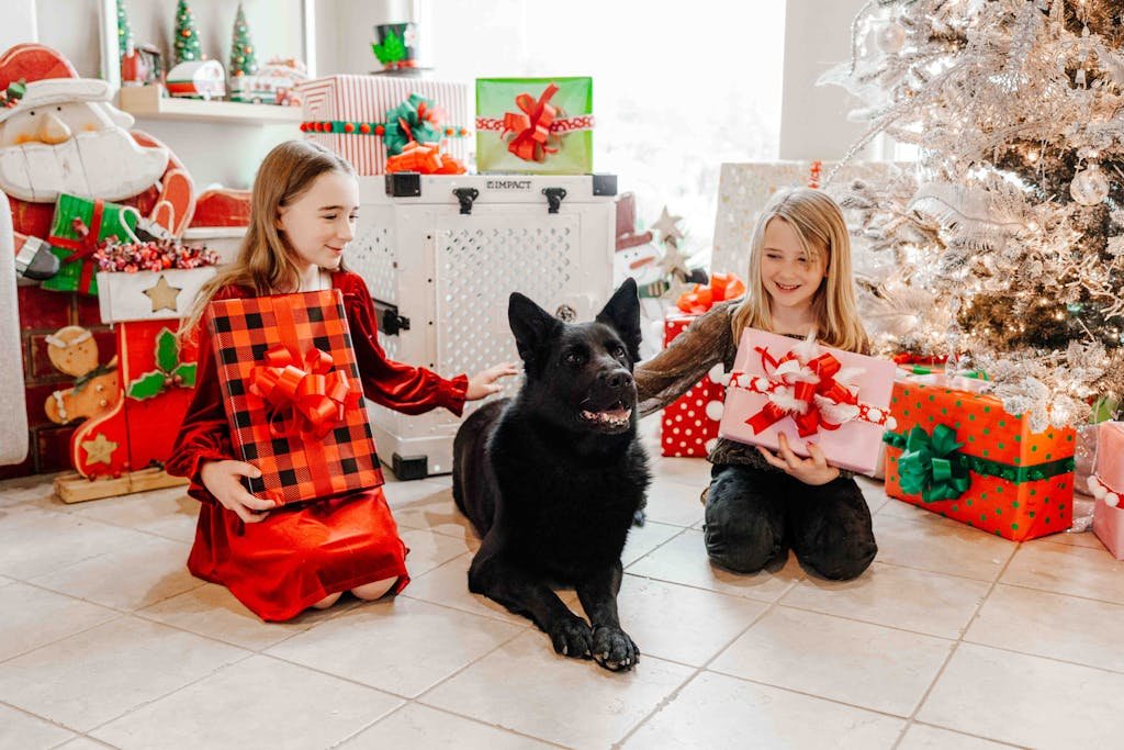 Christmas Magic for the Whole Family: Impact Dog Crates for Your Furry Friend