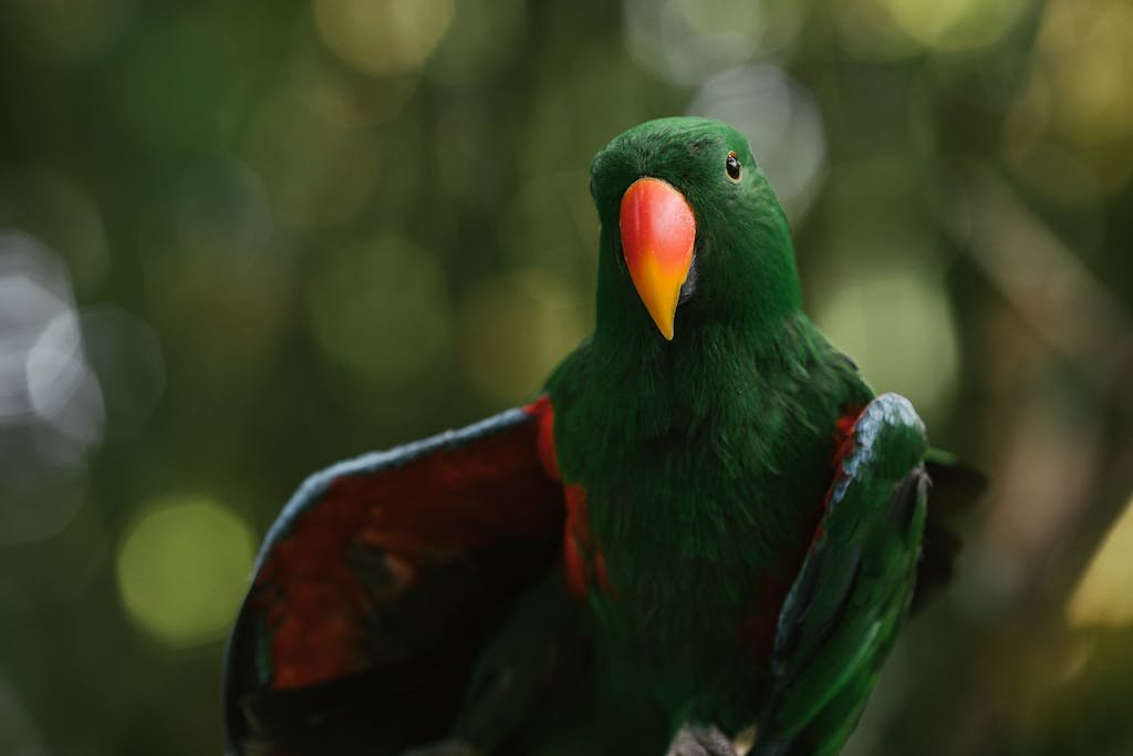 Close-up of a green Eclectus parrot with red and blue feathers in a lush environment.