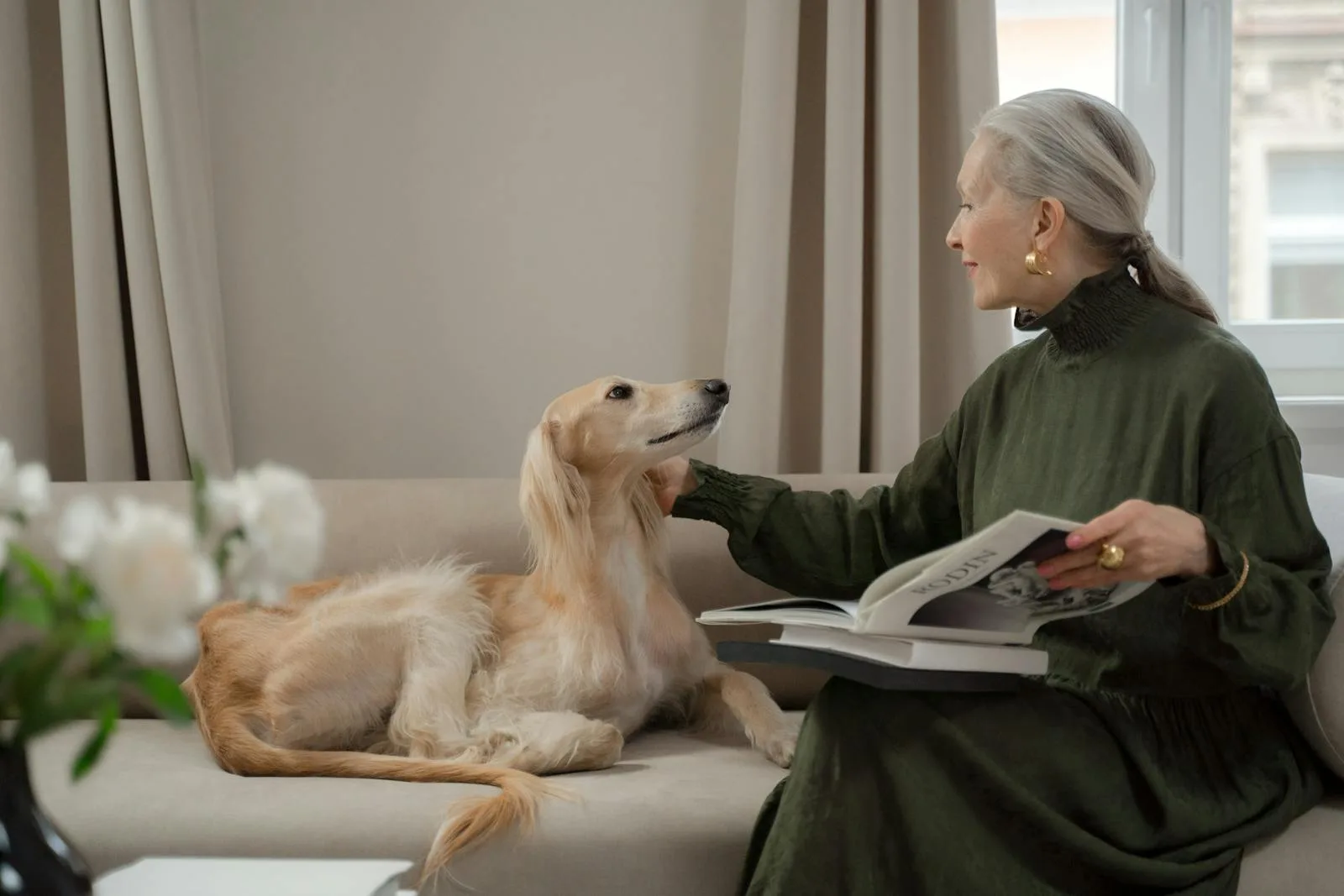 Top Dog Breeds for Seniors: Finding the Perfect Canine Companion