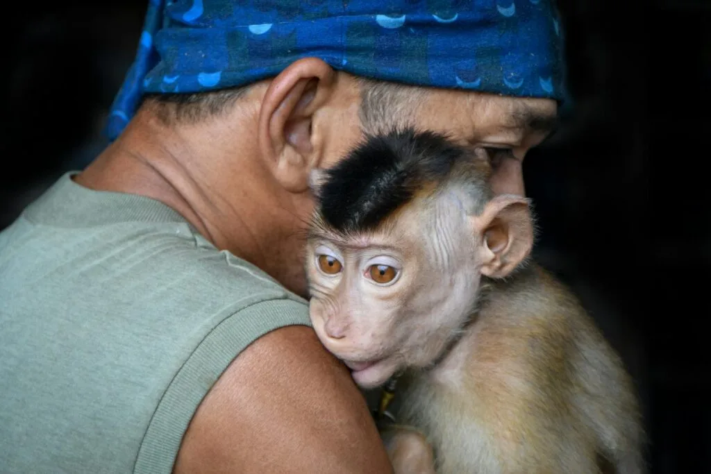 A man with a bandana gently holding a young monkey, showcasing affection and companionship.