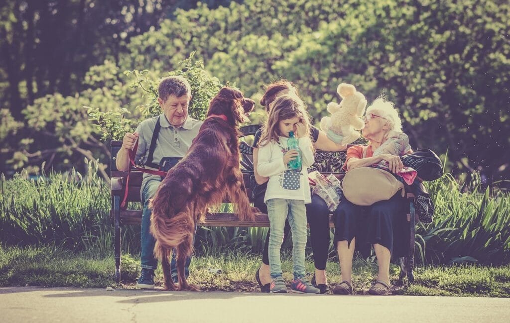 people, family, man, old, woman, kid, girl, child, dog, nature, pet, animal, sitting, bench, waiting, green, grass, family, family, family, family, family, dog, pet