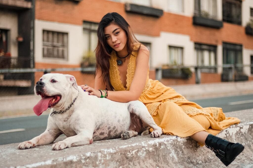 A woman in a yellow dress sits on a concrete barrier with her American Bulldog in an urban setting.