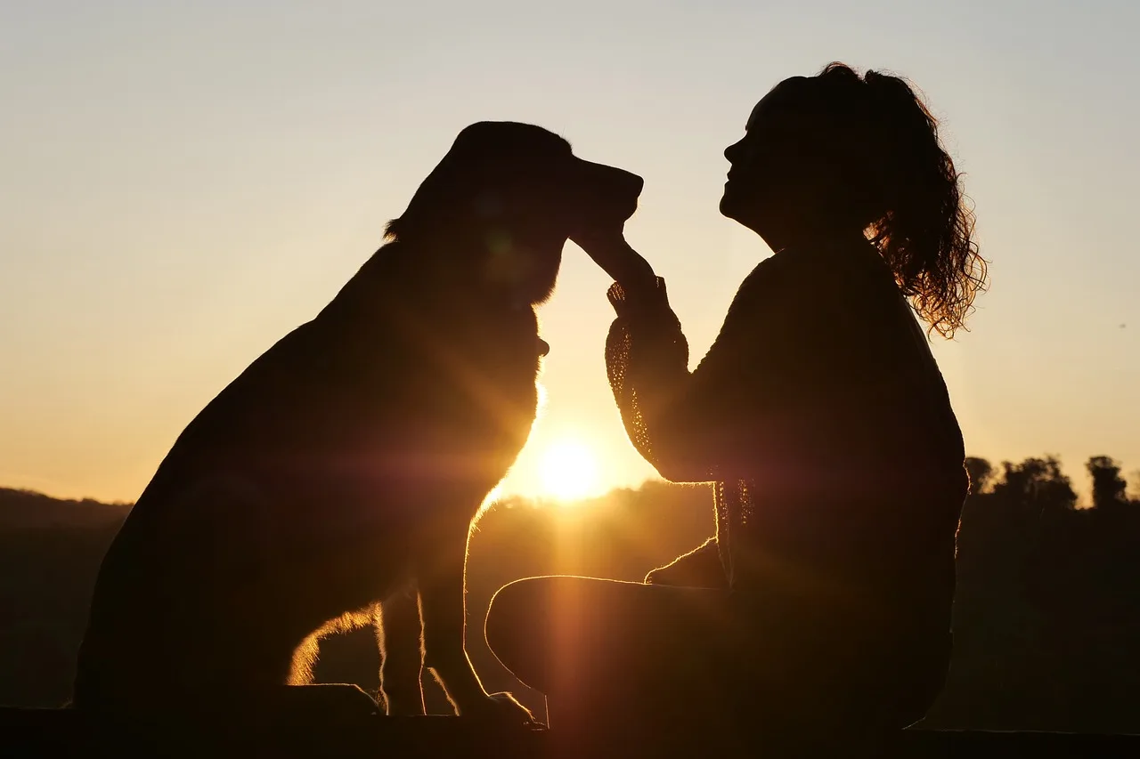 The Secret to Getting Your Pet to Actually Listen to You