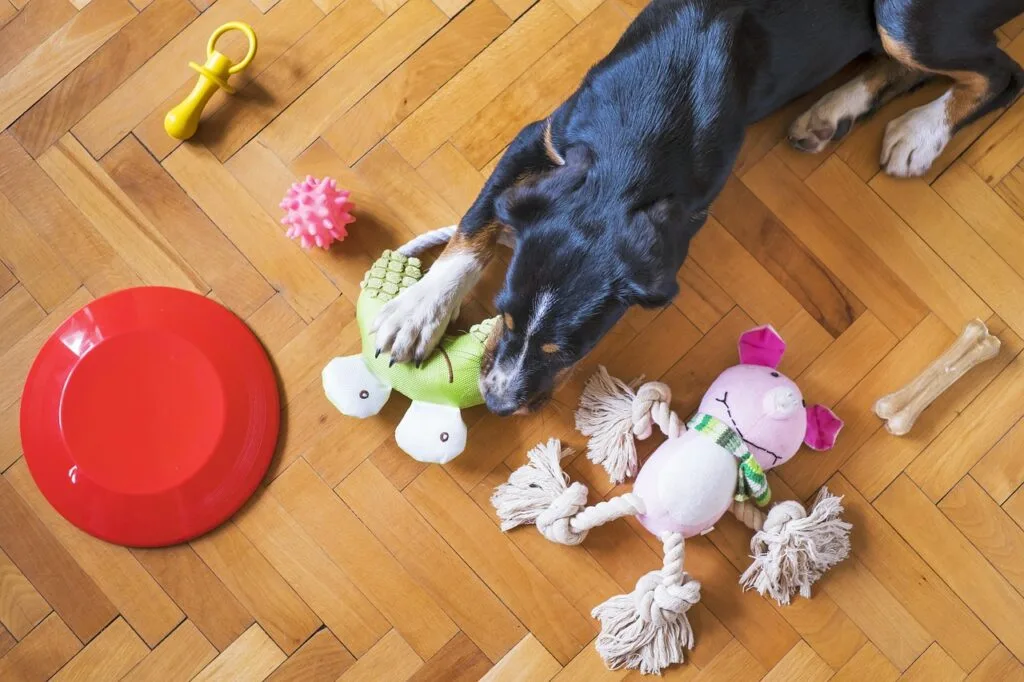 dog toys, pet, dog playing, dog chew toy, dog frisbee, dog rope, dog bone, dog ball, dog, puppy, dog toys, dog toys, animal, dog toys, dog toys, dog toys