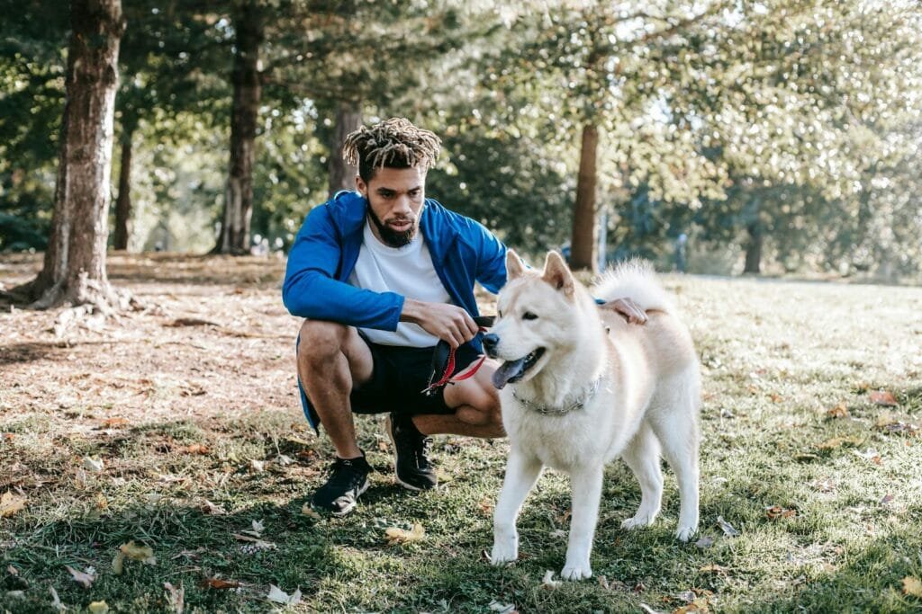 Man with dreadlocks pets a fluffy dog outdoors in a sunlit park.