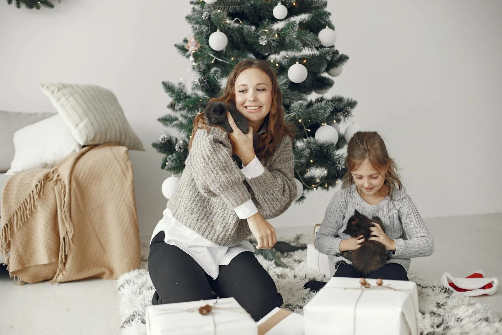 10 Purr-fect Holiday Gift Ideas For Your Pets- Make This Festive Period Memorable!