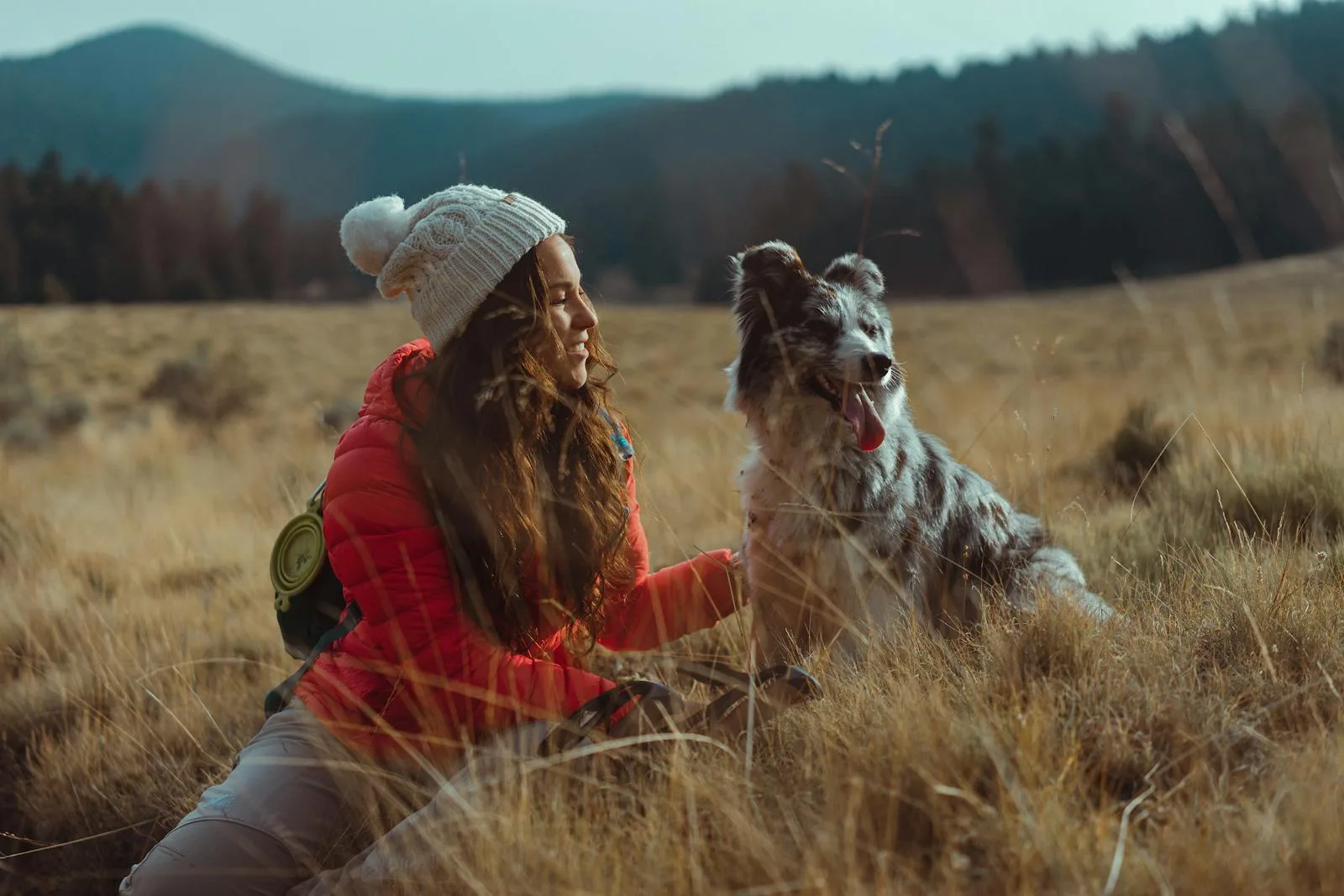 Best Dog-Friendly Adventures