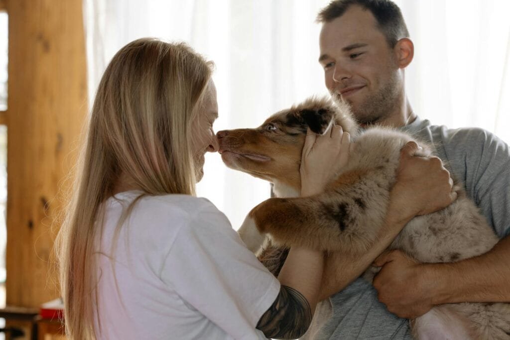 Couple lovingly interacting with their Australian Shepherd puppy indoors.