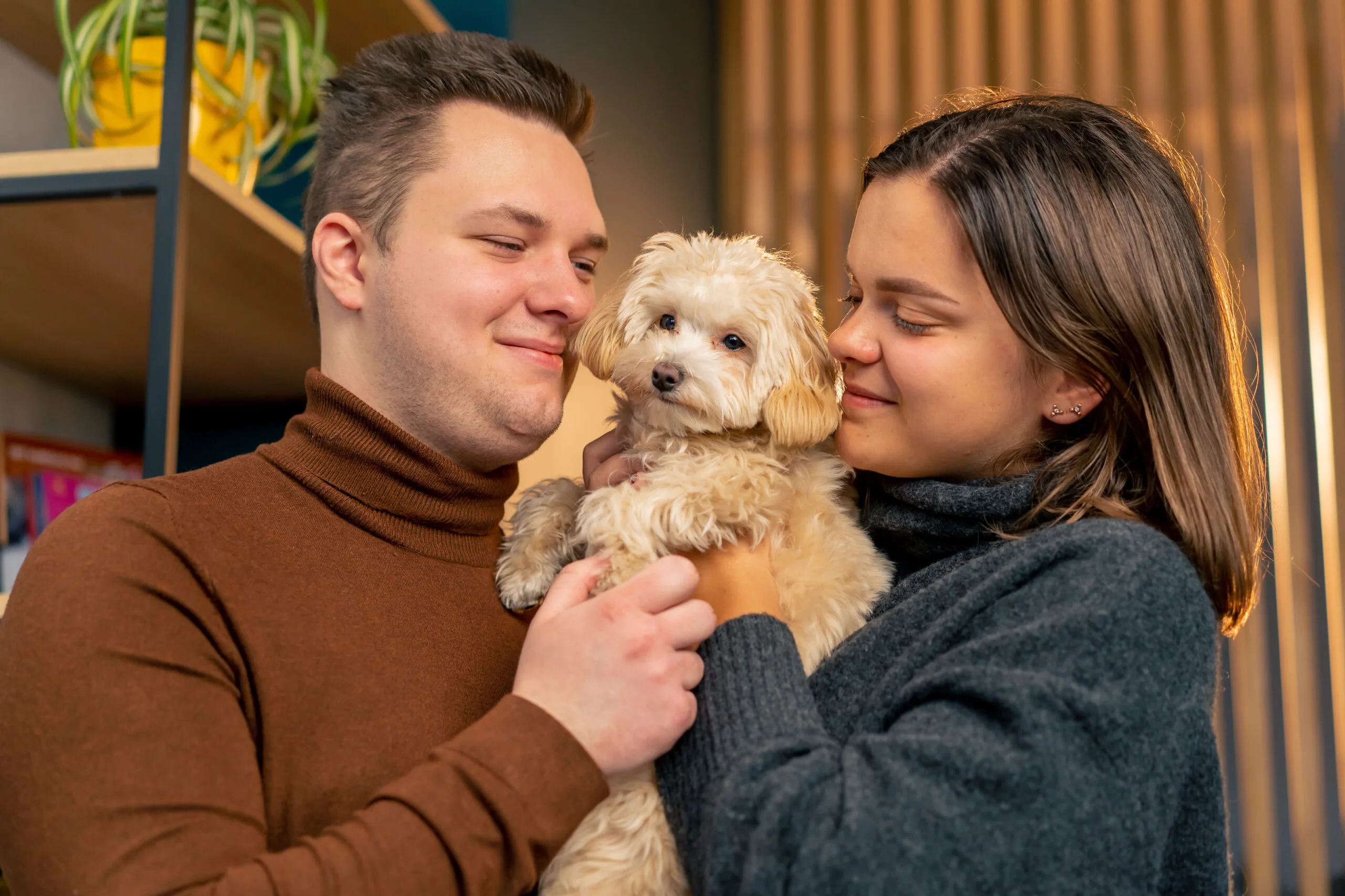 Top 10 New Year Resolutions for Pet Owners