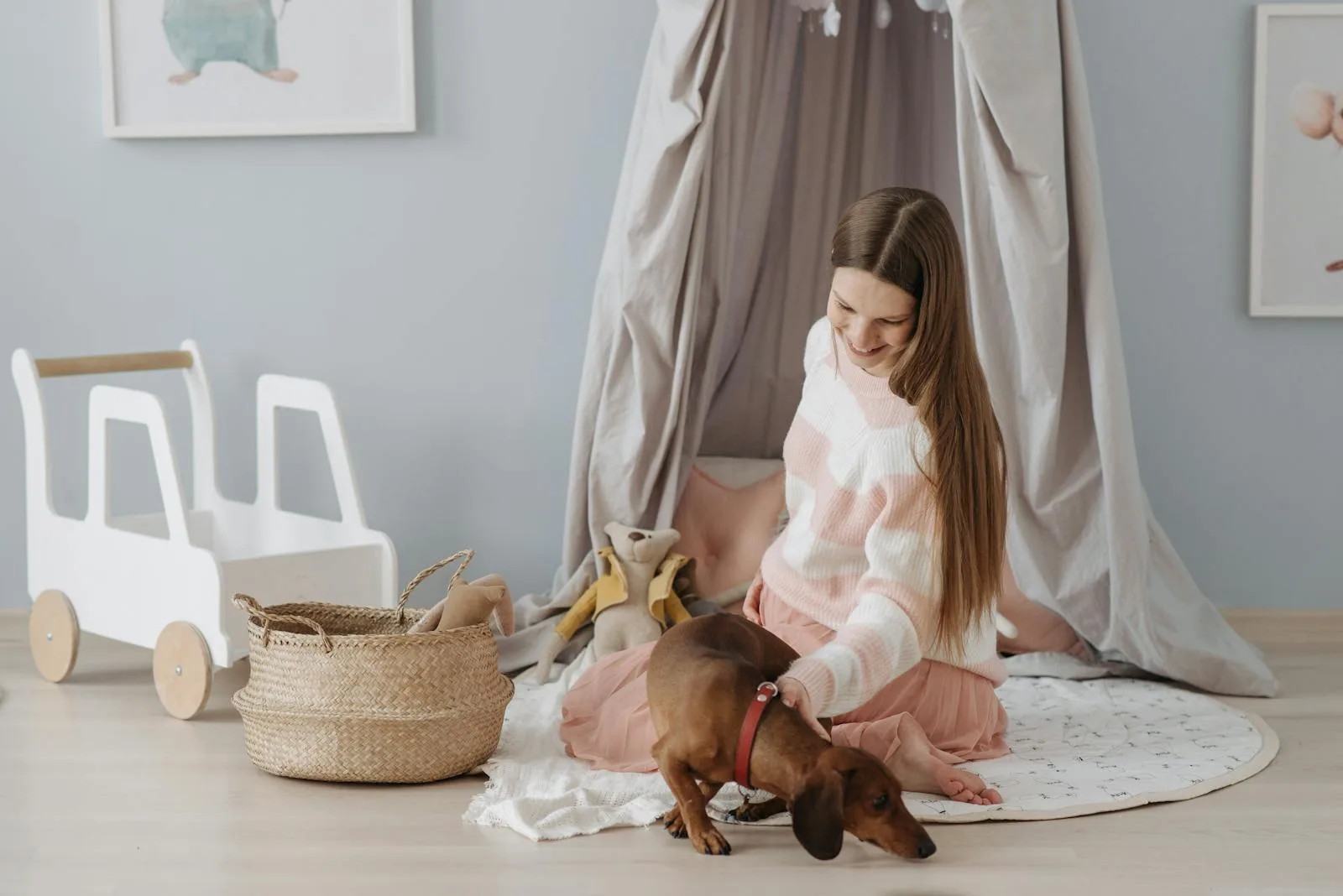 DIY Pet Toys: Affordable and Innovative Ideas for Your Furry Companion
