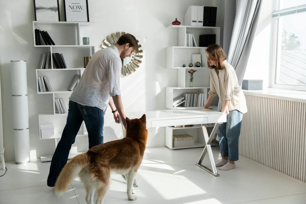 A couple adjusting a desk in a bright, modern living room with a dog observing.