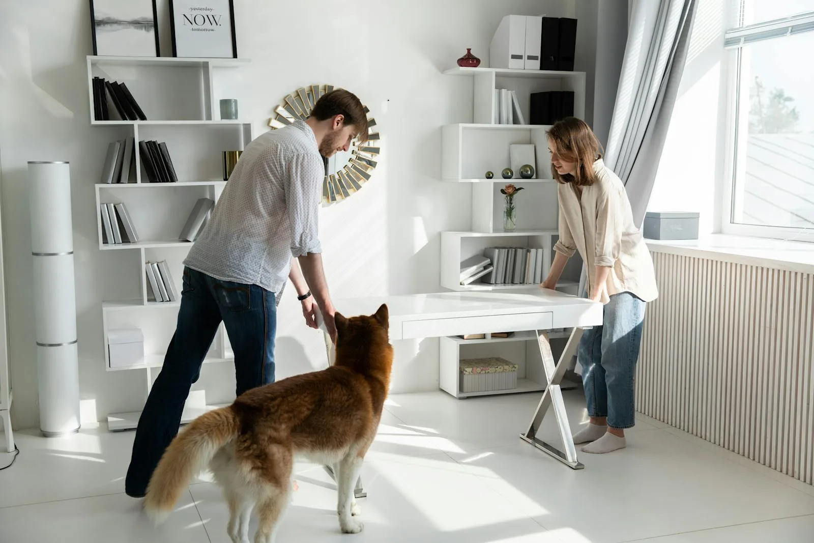 How to Create a Pet-Friendly Home: Design Tips and Ideas